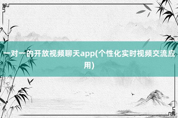 一对一的开放视频聊天app(个性化实时视频交流应用)